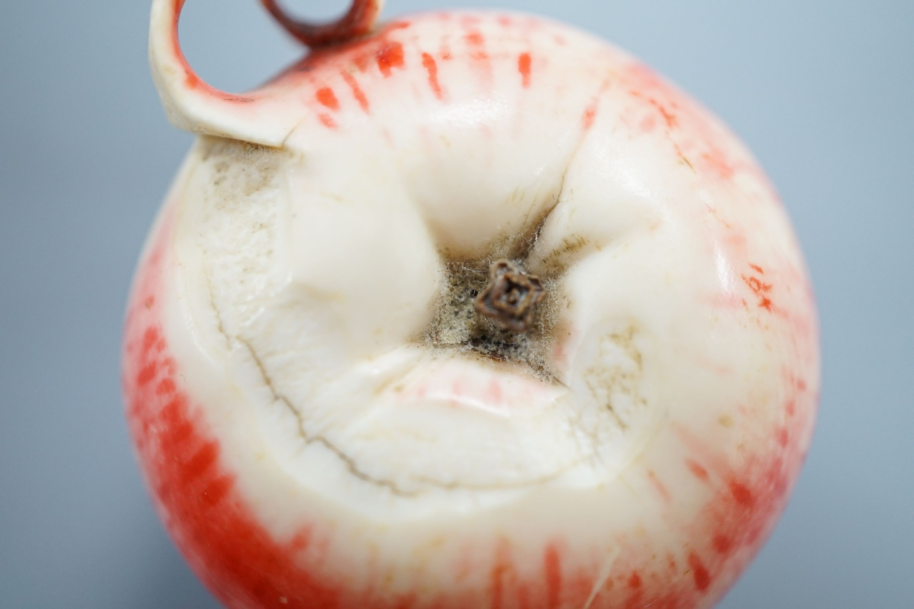 A Japanese carved ivory model of a partially peeled apple, c.1900, 5cm
